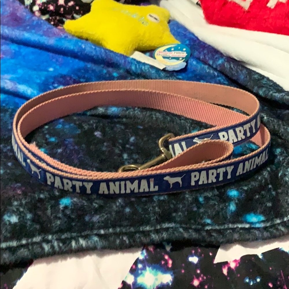 Rare vs pink dog leash